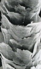 Hydratation: avant ou après le shampoing, ENFIN une réponse!