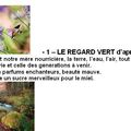 Le regard vert (KatyL)