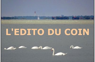 REVERS DES MEDAILLES
