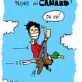 Canard wc