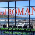 vidéo conférence du 12/7/2023: Pascal ROMANS sur la biodiversité et sa conservation