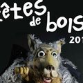 Festival tête de bois à Villeurbanne: les marionnettes à l'honneur