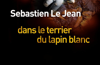 Dans le terrier du lapin blanc - Sébastien Le Jean - Liana Levi