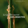 Le jardin secret des insectes