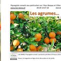 🍋 Les agrumes conseils et entretien par Paysagiste Pays Basque Paysagiste Landes