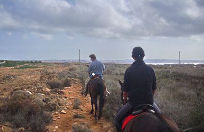 Promenade à cheval le long des Salines de Torrevieja