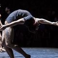 Nuit de Fourvière 2018/ Circa/ le sacre du printemps : une troupe de danseurs/circasiens exceptionnels ! 