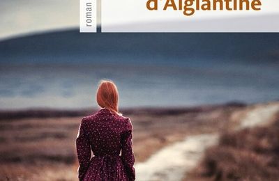 LE SECRET D'AIGLANTINE - NICOLE PROVENCE.