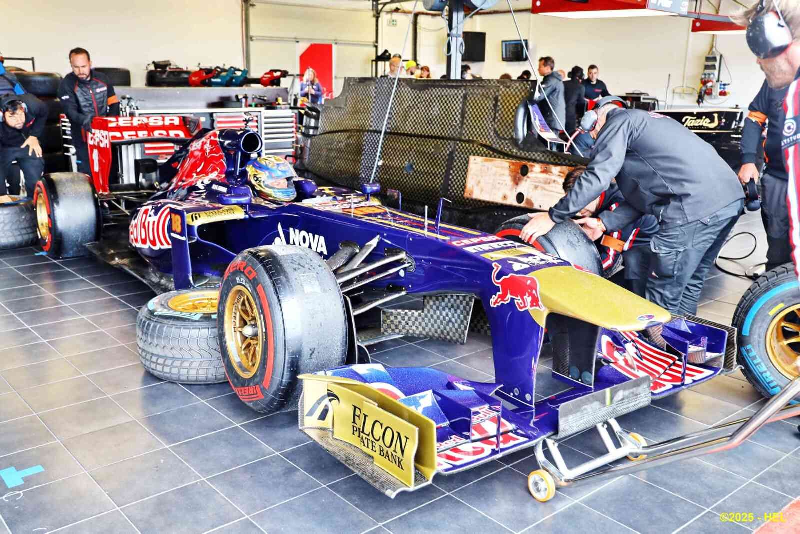 Toro Rosso STR 08 Ferrari_06 - 2013 [I] HL_GF