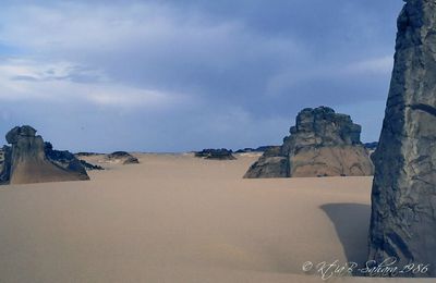 Entre Roche et sable ...