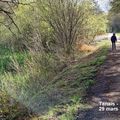 29 mars : Marche rapide - 6/6,5 km