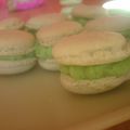 Mes macarons pistache....et praliné