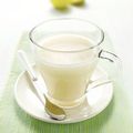 Le lait végétal pour les nuls