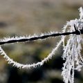 Givre