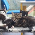 Le trio d'enfer !!!
