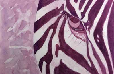 Purple zebra