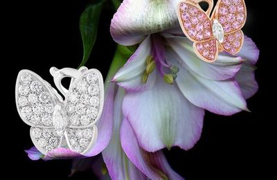 Butterfly Jewelry