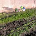 Assemblée générale annuelle des Jardins Partagés de Saâcy