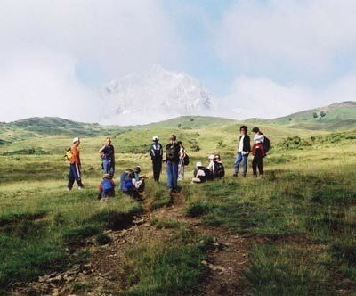 (facéties champêtres)