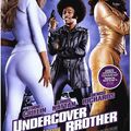 Undercover Brother (Opération Funky)