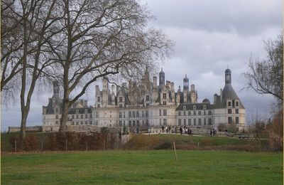 Retour sur l'année 2024 sur mon blog