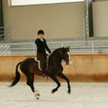 Stage d'équitation