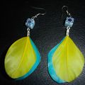 Boucles d'oreilles avec des plumes