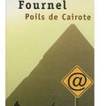 ~ Poils de Cairote, Paul Fournel