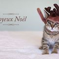 Joyeux Noël !