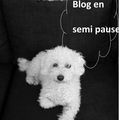 Blog en semi pause 