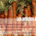 Les actus du blog