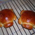 Tortues (brioche) saveur Citron