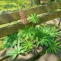 Photos du Dimanche !