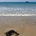 Plage à St Malo (35)