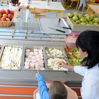 Handicap : rentrée chaotique pour la prise en charge par l'État des AESH durant la pause méridienne