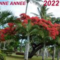 FIN D'ANNEE 2021