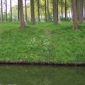 Belgique; Flandres : Canal Léopold et canal de Schipdonk