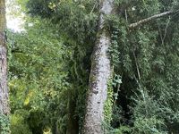 Revenir au siècle dernier 