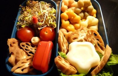 bento de nuit - de la racine de lotus