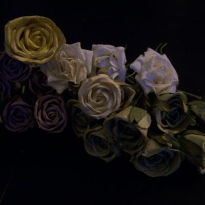 LOT 19 / Roses en papier