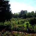 Le jardin de Claude Monet à Giverny - août 2013