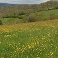 Randonnée en Suisse Normande