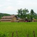 Chitwan National Park