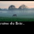 Brume du soir...