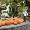 Europa Park sous le signe d'Halloween