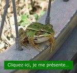 Aménagements cyclables en Vallée de Montmorency