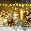 Une année s'achève !