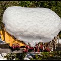 La montagne en Octobre ?