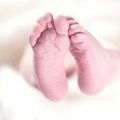 Le petit pied