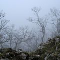 Col de Soliet, crête de la Ferrière (Vercors)